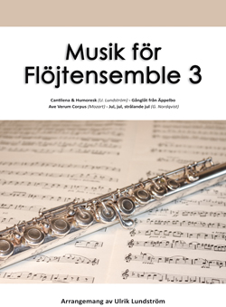 Musik för flöjtensemble 3