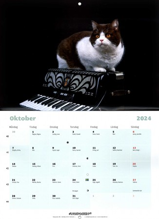 Oktober månad i Notpostens väggalmanacka 2024-2025 med en katt på ett dragspel.
